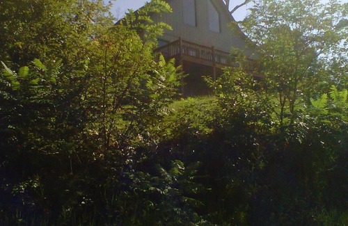 Hayesville Cabina | Mountain Cabin Dreams