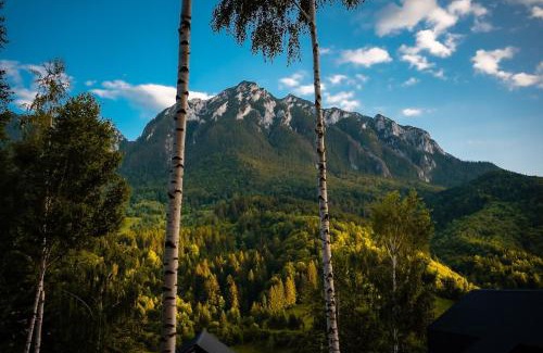 Zarnesti Chalet De Esquí | Mountain Escape Resort