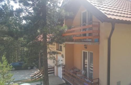 Kremna Apartamento | Mountain House Tara Apartmani Nikolic