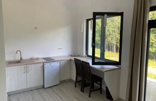 Novaci Casa | Mountain House Transalpina