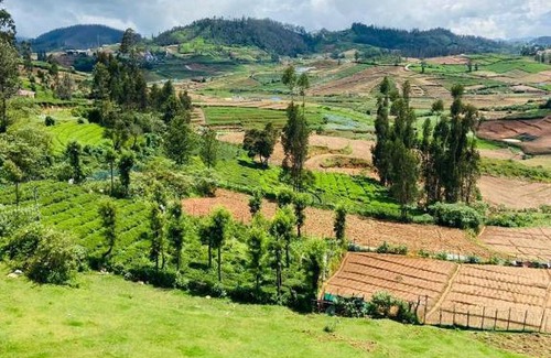 Ooty Casa | Mountain Mist Meadows