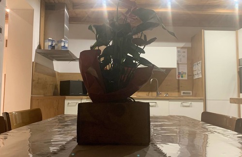 Predazzo Apartamento | Traje Maison Perrod Junior con sauna