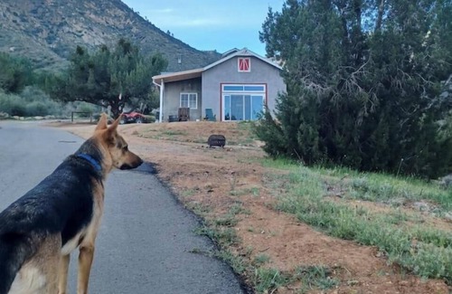 Bodfish Casa | Mountain top Barn retreat with view