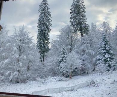 Poiana Brasov Apartamento | Mountain View Apt Marcus 2 Poiana Brasov