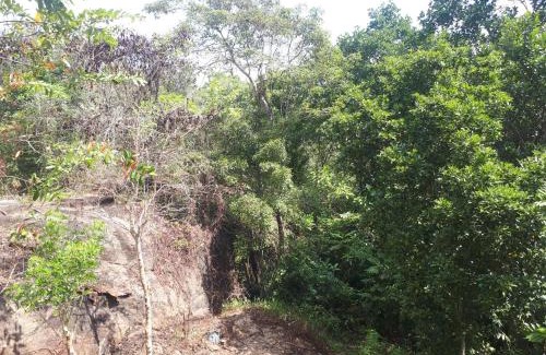 Kotadeniyawa Apartamento | Mountain view home stay