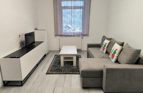 Baia Mare Apartamento | Mountain view