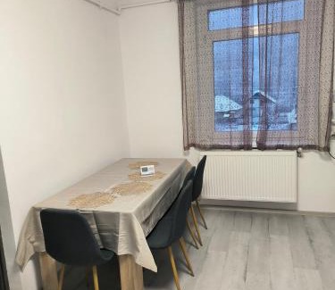 Baia Mare Apartamento | Mountain view