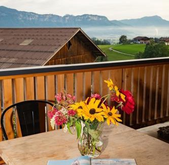 Kitzbuehel Apartamento | Mountain Vista - Bio Yoga Hof