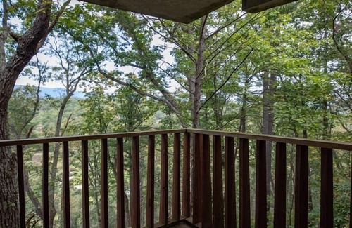 Basye Condominio | Mountainside Retreat Condo (#1-201) | Ground-level | Quiet & secluded