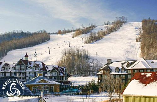 Craigleith Casa | Mountainview Loft at North Creek Resort