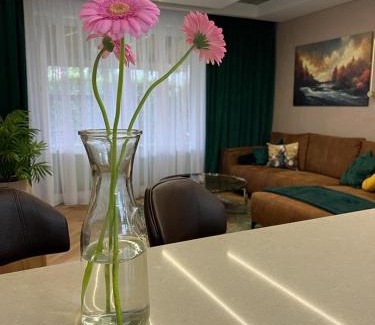 Zywiec Apartamento | MS HOUSE Apartament