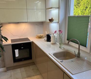 Zywiec Apartamento | MS HOUSE Apartament