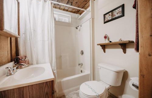 Maple Falls Apartamento | Mt Baker Apt, Pets OK, WIFI and AC