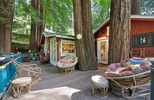 Mount Hermon Casa | Mt. Hermon Treehouse