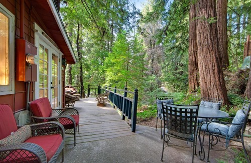Mount Hermon Casa | Mt. Hermon Treehouse