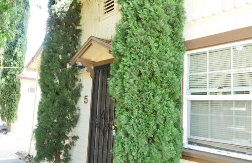Clearlake Apartamento | Mt Konocti View