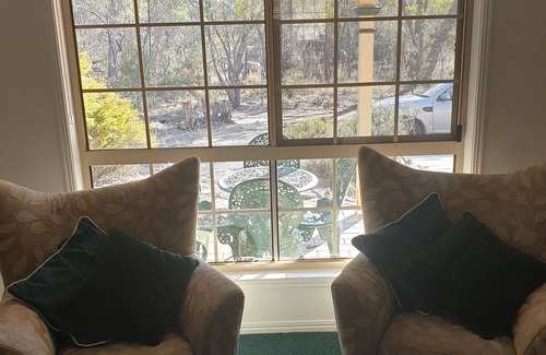 Mount Tully Casa | Mt Tully Cottage y Naturaleza Refugio