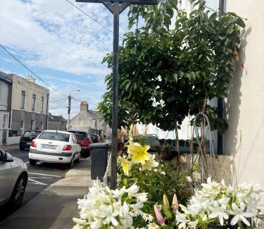 Dun Laoghaire Cama Y Desayuno | Mulgrave Lodge