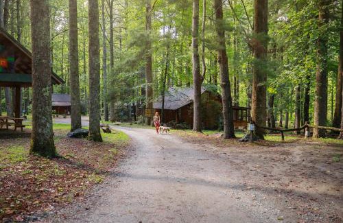 Saluda Casa | Multiple cabins at Cabin Fever