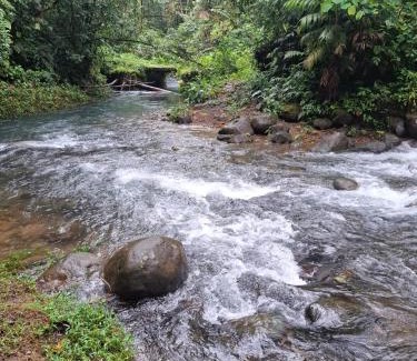 Pedro Vicente Maldonado Otro | Munay Pedro Vicente Maldonado cerca de Río mashpi y salto del tigre y talala