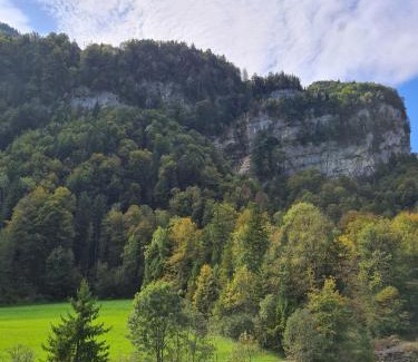Saint Georgen Ot Brigach Apartamento | Muota River Loft & Muota Industry Apartment near Stoos