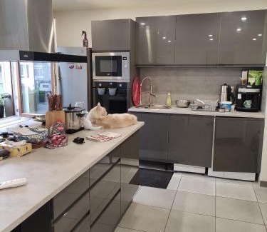 Krutenau Apartamento | Murat appartement 3 pieces