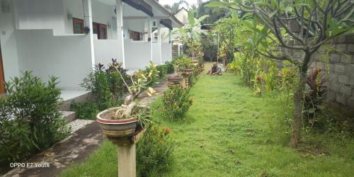 Purwakerti Casa | Murni house