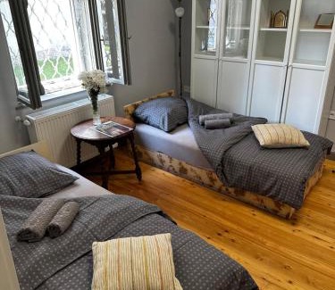 Rackeve Apartamento | Museum Apartment in the City Center