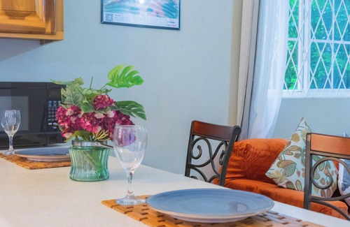 New Kingston Apartamento | Musgrave AnneX - Cozy apartment close to restaurants and entertainment