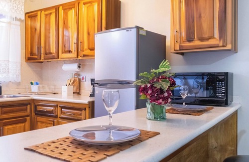 New Kingston Apartamento | Musgrave AnneX - Cozy apartment close to restaurants and entertainment