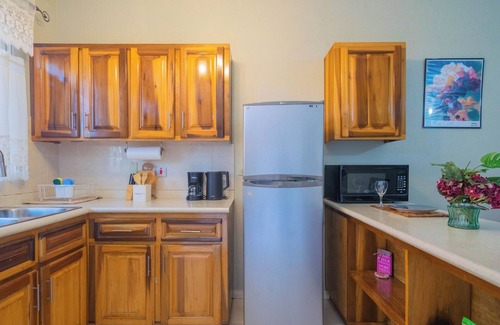New Kingston Apartamento | Musgrave AnneX - Cozy apartment close to restaurants and entertainment