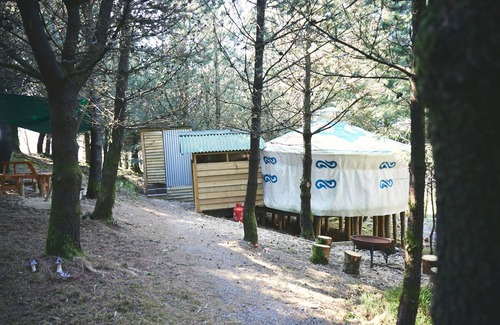 Glandyfi Cabina | Mushroom Yurt set in 4 Acres of Woodland and Lakes