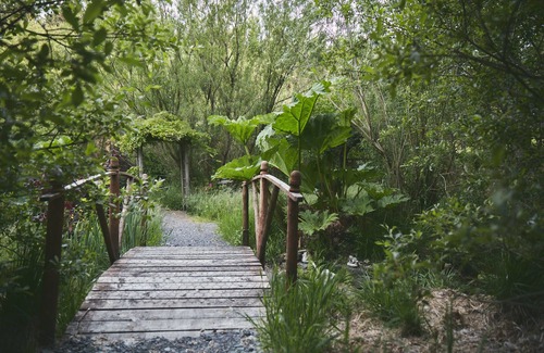 Glandyfi Cabina | Mushroom Yurt set in 4 Acres of Woodland and Lakes