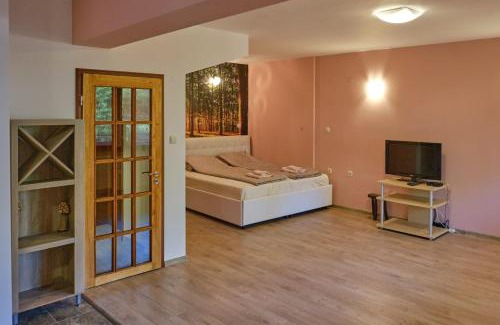 Pleven Apartamento | Mushrooms house