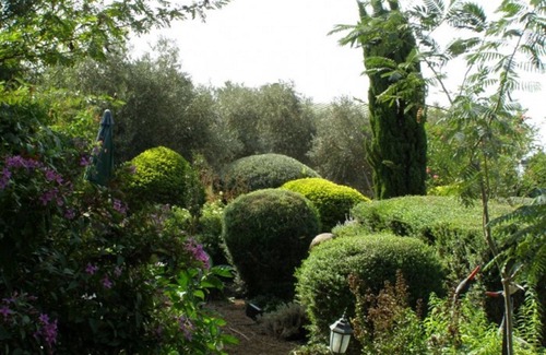 Ramot Cabina | Musical Garden Cabins