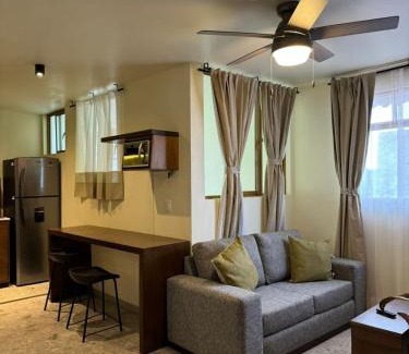 Fresnillo Apartamento | Dpto Laberinto 4