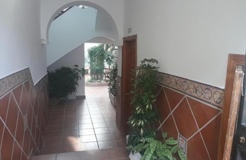 San Francisco-Ribera Apartamento | My Andalusian Passion Mi Pasion Andalusi