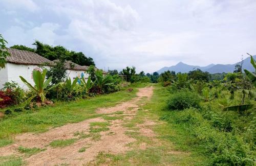 Alaparthi Complejo | My Dream Land Nature Resort