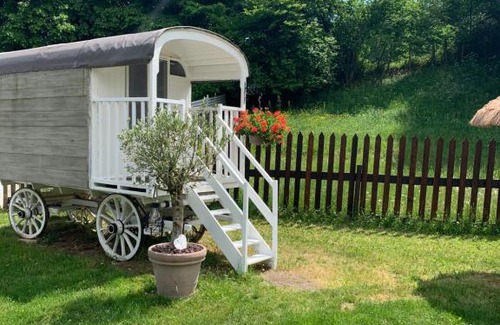 Colombe Casa | My little sweet home