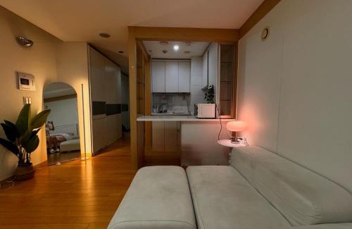 COEX Apartamento | My Seoul Home - Gangnam Seolleung Station Exit 1