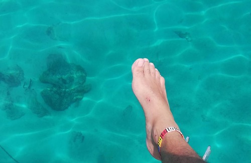 Calidonia Alquiler De Eote | Myblue4you sailing tour experience San Blas