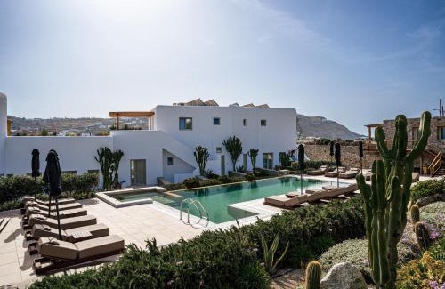 Ornos Hotel | Mykonos Cactus
