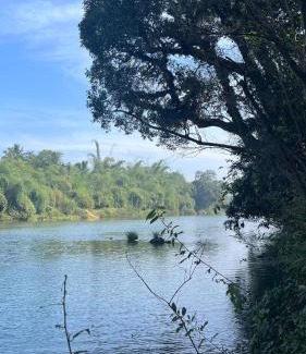 Siddapura Casa | Mynas Nest Riverside Homestay
