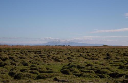 Selfoss Casa | Myri - Studio Lodge