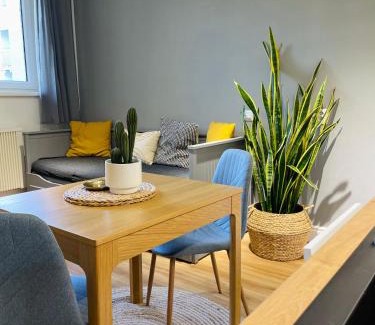 Ostrava Apartamento | Myslbekova 16