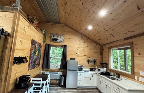 Dandridge Cabina | Mystic Woods!