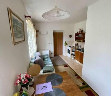 Vysoke nad Jizerou Apartamento | Nádherný klidný apartmán s infrasaunou