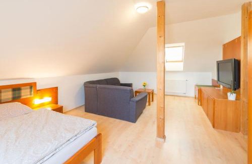 Frenstat pod Radhostem Apartamento | Na Helštýně