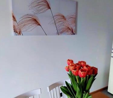 Nowecin Casa | Na Miłej Nowęcin