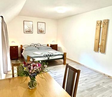 Krahulci Casa | Na Mlejně